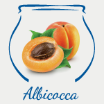 Albicocca